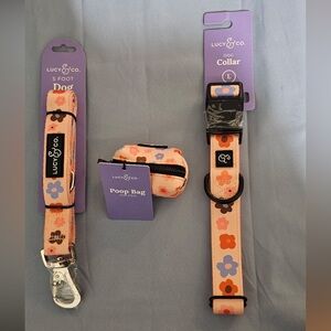 Lucy & Co. Let’s Groove Dog Collar, Leash and Poop Bag Holder Set (L)